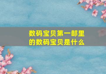 数码宝贝第一部里的数码宝贝是什么