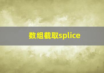 数组截取splice