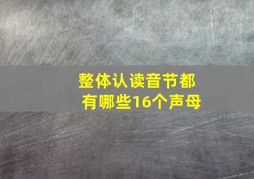 整体认读音节都有哪些16个声母