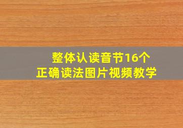 整体认读音节16个正确读法图片视频教学