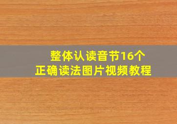 整体认读音节16个正确读法图片视频教程