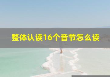 整体认读16个音节怎么读