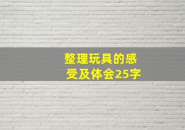 整理玩具的感受及体会25字