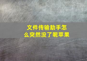 文件传输助手怎么突然没了呢苹果