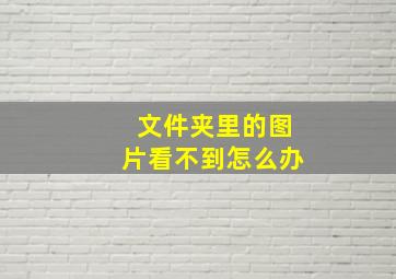 文件夹里的图片看不到怎么办