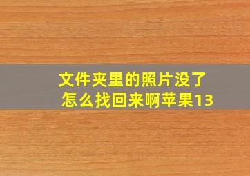 文件夹里的照片没了怎么找回来啊苹果13