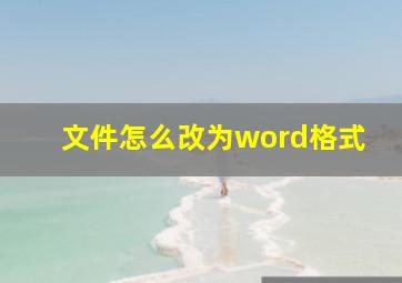 文件怎么改为word格式