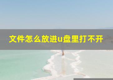 文件怎么放进u盘里打不开