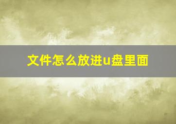 文件怎么放进u盘里面