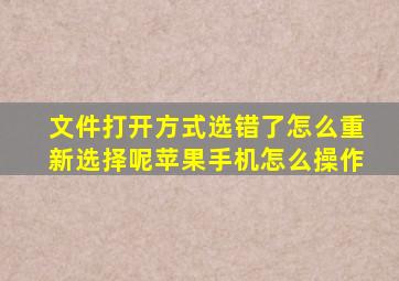 文件打开方式选错了怎么重新选择呢苹果手机怎么操作