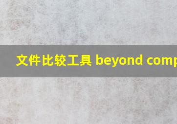 文件比较工具 beyond compare