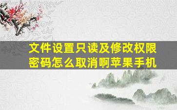 文件设置只读及修改权限密码怎么取消啊苹果手机