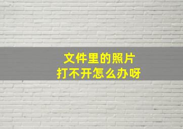 文件里的照片打不开怎么办呀