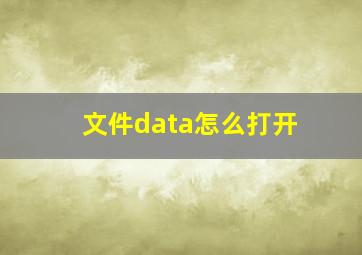 文件data怎么打开