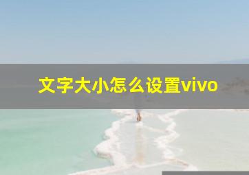 文字大小怎么设置vivo