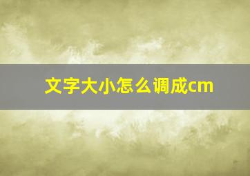 文字大小怎么调成cm