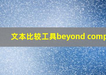 文本比较工具beyond compare