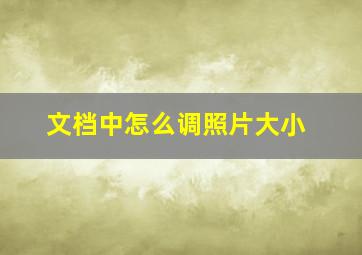 文档中怎么调照片大小