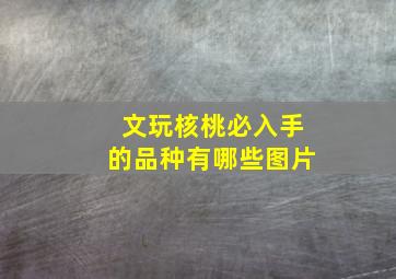 文玩核桃必入手的品种有哪些图片