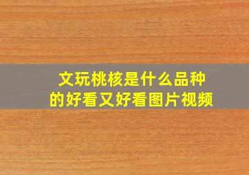 文玩桃核是什么品种的好看又好看图片视频