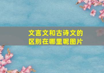 文言文和古诗文的区别在哪里呢图片