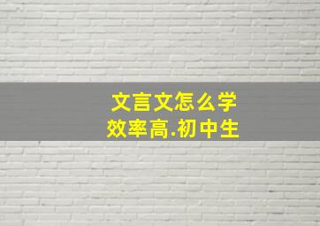 文言文怎么学效率高.初中生