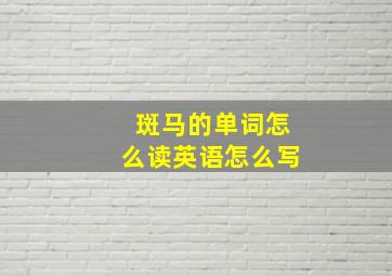 斑马的单词怎么读英语怎么写