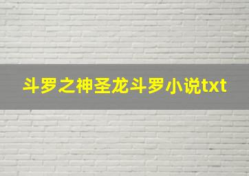 斗罗之神圣龙斗罗小说txt