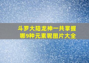 斗罗大陆龙神一共掌握哪9种元素呢图片大全