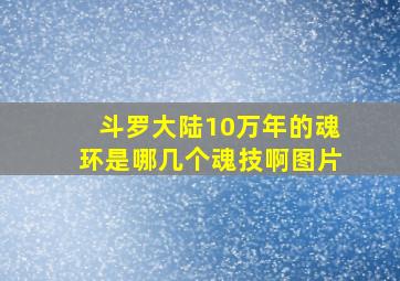 斗罗大陆10万年的魂环是哪几个魂技啊图片