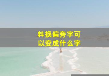 料换偏旁字可以变成什么字