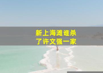 新上海滩谁杀了许文强一家