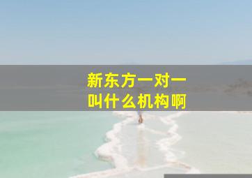 新东方一对一叫什么机构啊