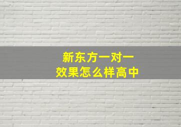 新东方一对一效果怎么样高中