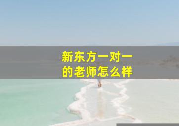 新东方一对一的老师怎么样