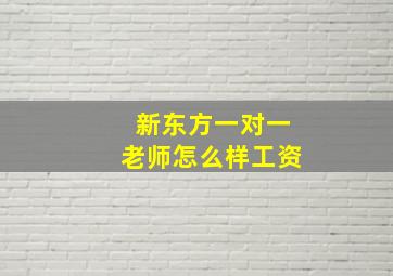 新东方一对一老师怎么样工资