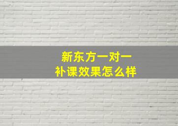 新东方一对一补课效果怎么样