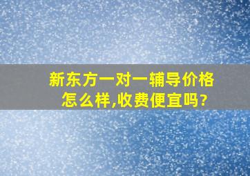 新东方一对一辅导价格怎么样,收费便宜吗?