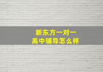 新东方一对一高中辅导怎么样