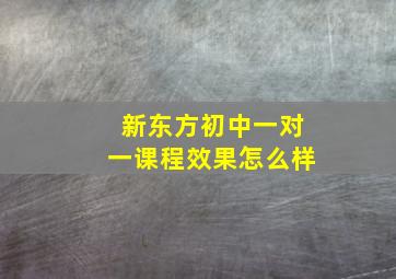 新东方初中一对一课程效果怎么样