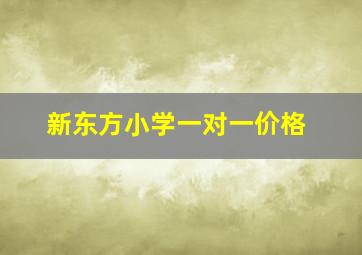 新东方小学一对一价格