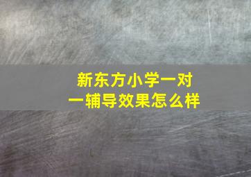 新东方小学一对一辅导效果怎么样