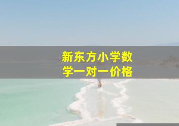 新东方小学数学一对一价格