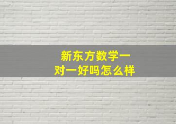 新东方数学一对一好吗怎么样