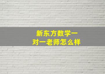 新东方数学一对一老师怎么样