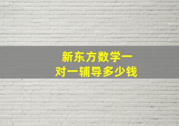 新东方数学一对一辅导多少钱