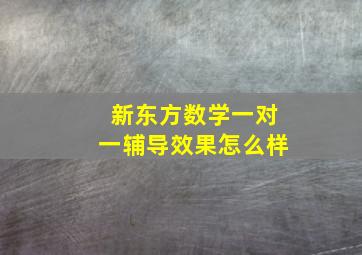 新东方数学一对一辅导效果怎么样