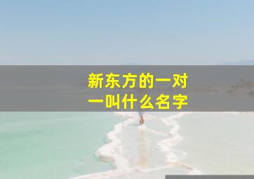 新东方的一对一叫什么名字