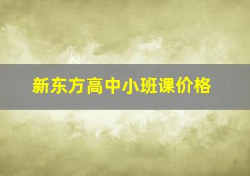 新东方高中小班课价格