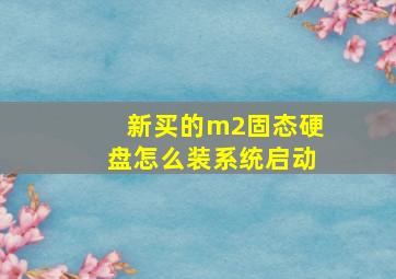 新买的m2固态硬盘怎么装系统启动